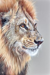 Lions Pride by Gina Hawkshaw - Original Painting on Box Canvas sized 20x30 inches. Available from Whitewall Galleries
