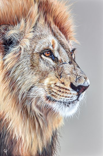 Lions Pride by Gina Hawkshaw - Original Painting on Box Canvas
